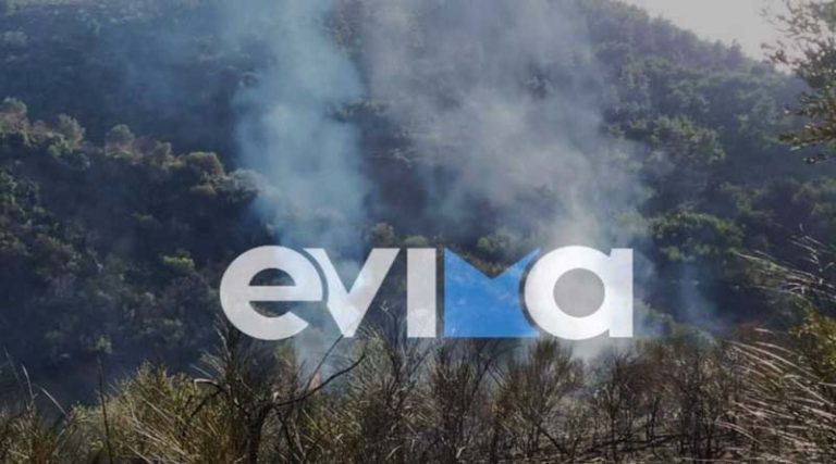 Φωτιά σε δασική έκταση στην Εύβοια – Οι πρώτες εικόνες (φωτό)