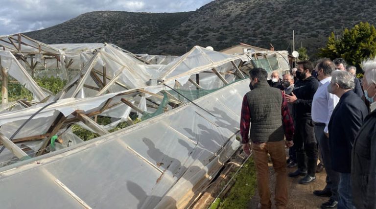 Καθυστερήσεις στις αποζημιώσεις των αγροτών Μαραθώνα φέρνει η αποπομπή του Λιβανού