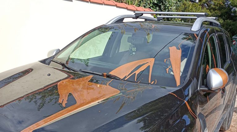 Ραφήνα: Πέταξαν μπογιές σε  σταθμευμένα αυτοκίνητα στο Μελτέμι! (φωτό)