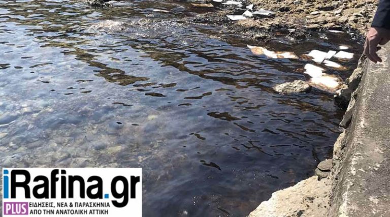 Αποκλειστικό: Θαλάσσια ρύπανση στο Μπλε Λιμανάκι Ραφήνας – Άμεση κινητοποίηση του ΟΛΡ & του Λιμενικού (φωτό)