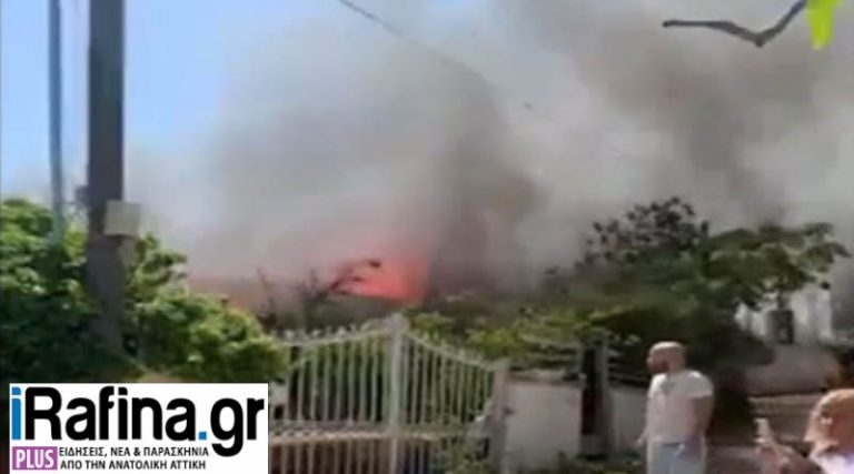 Αρτέμιδα: Έτσι ξεκίνησε η φωτιά στο σπίτι – Συγκλονιστικό βίντεο
