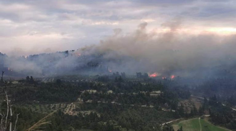Ενισχύονται οι δυνάμεις της πυροσβεστικής για τη μεγάλη φωτιά στη Χαλκιδική