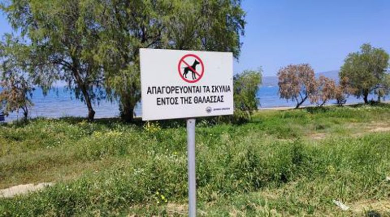 Ωρωπός: «Πλαστές» πινακίδες απαγόρευσης σκυλιών στις παραλίες