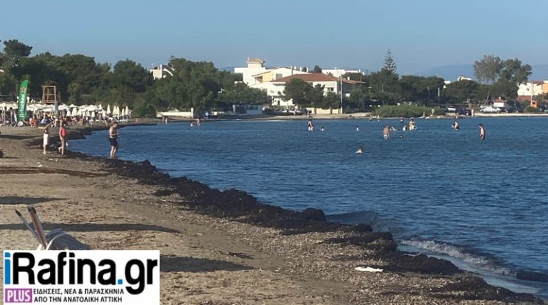 Αρτέμιδα: Καταγγελία στο iRafina.gr – Γεμάτες φύκια και σκουπίδια οι παραλίες (φωτό & βίντεο)