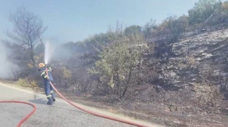 Αυτοκίνητο τυλίχθηκε στις φλόγες στον δρόμο από Μαραθώνα προς Γραμματικό! (φωτό & βίντεο)