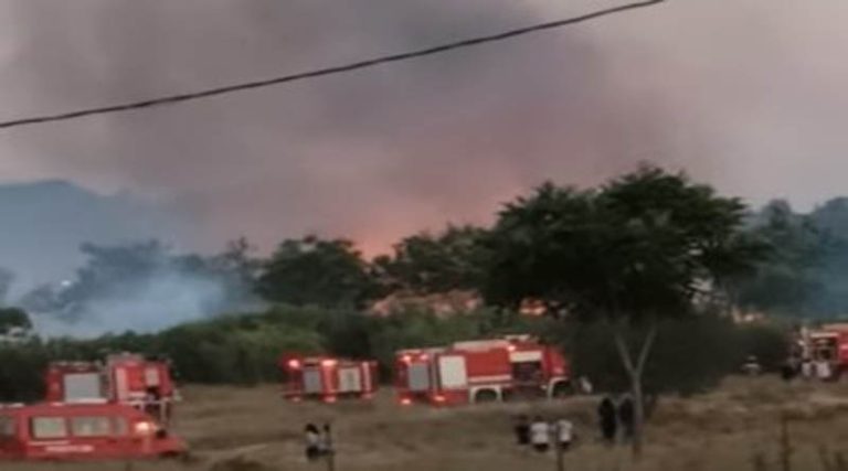 Βίντεο από την φωτιά στο Κτήμα Καμπά στην Παλλήνη