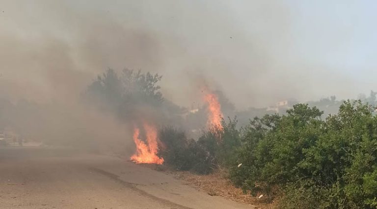 Φωτιά στην Παλλήνη: Διακοπή κυκλοφορίας προς Ανθούσα -Ισχυρές δυνάμεις της Πυροσβεστικής στο σημείο (φωτό)