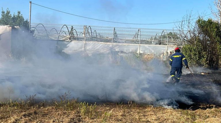 Μαραθώνας: Σωτήρια η επέμβαση Πυροσβεστών και Εθελοντών για την κατάσβεση φωτιάς στον Βρανά (φωτό)