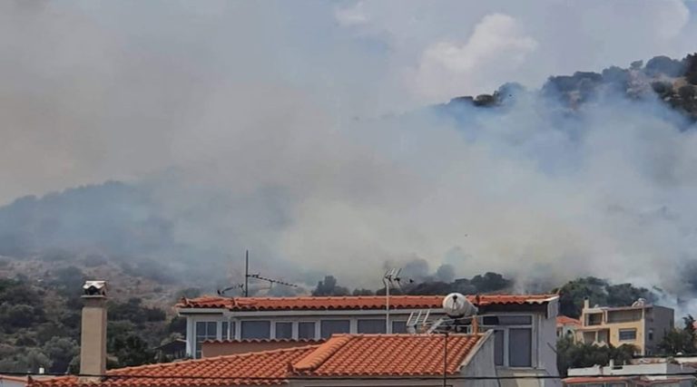 Αρτέμιδα: Φωτιά τώρα κοντά σε σπίτια στην Βραυρώνα! (φωτό & βίντεο)