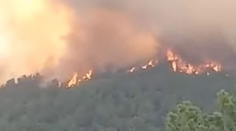 Φωτιά στον Έβρο: Στάχτη πάνω από 935.000 στρέμματα – «Έχει οριοθετηθεί κατά 80% η πυρκαγιά»