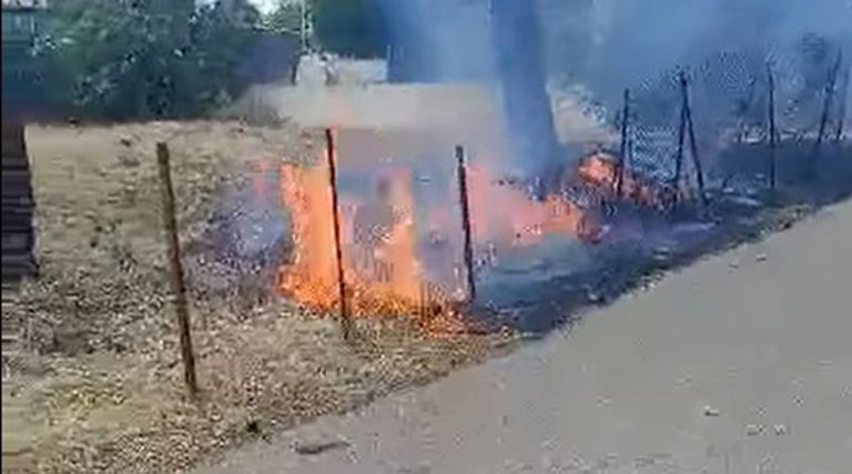 Εικόνες και βίντεο από τη φωτιά σε οικόπεδο στην Αρίωνος