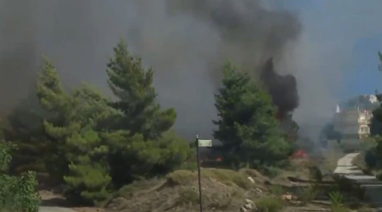 Πικέρμι: Έχουν τυλιχτεί στις φλόγες σπίτια στη Διώνη (βίντεο)