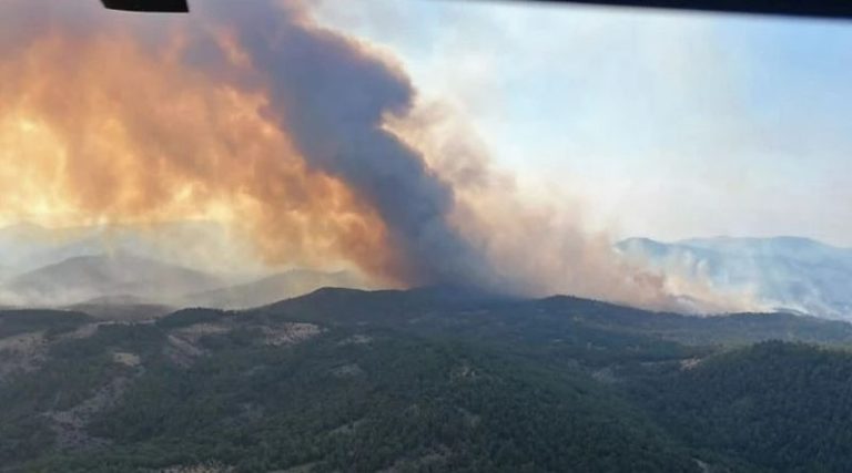 Φωτιά στον Έβρο: Μάχη με τις φλόγες για τέταρτη μέρα – Εκκενώθηκε το χωριό Δαδιά