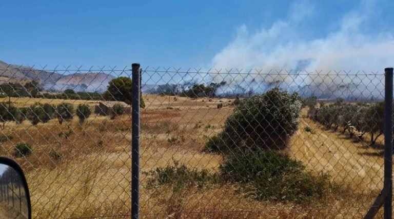 Φωτιές: Οι εξελίξεις από τα πύρινα μέτωπα σε Φέριζα Σαρωνικού, Κέρκυρα και Ρέθυμνο