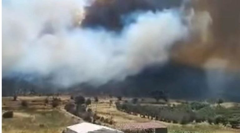 Φωτιά στην Φέριζα Σαρωνικού: Ενισχύθηκαν οι δυνάμεις της Πυροσβεστικής – Εκκενώθηκε και δεύτερος οικισμός (φωτό & βίντεο)