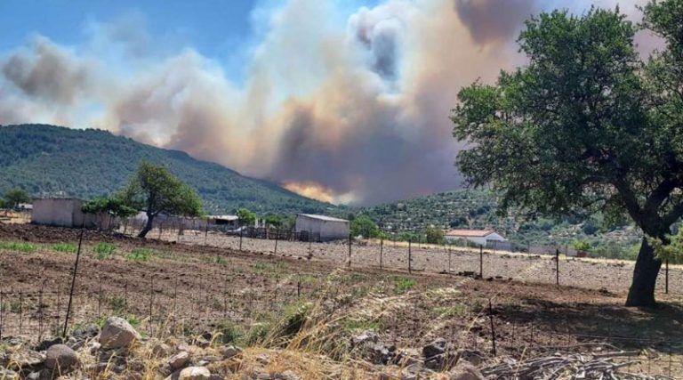 53 πυρκαγιές το τελευταίο 24ωρο – Στο δάσος Δαδιάς και τα Βατερά επικεντρώνονται οι δυνάμεις