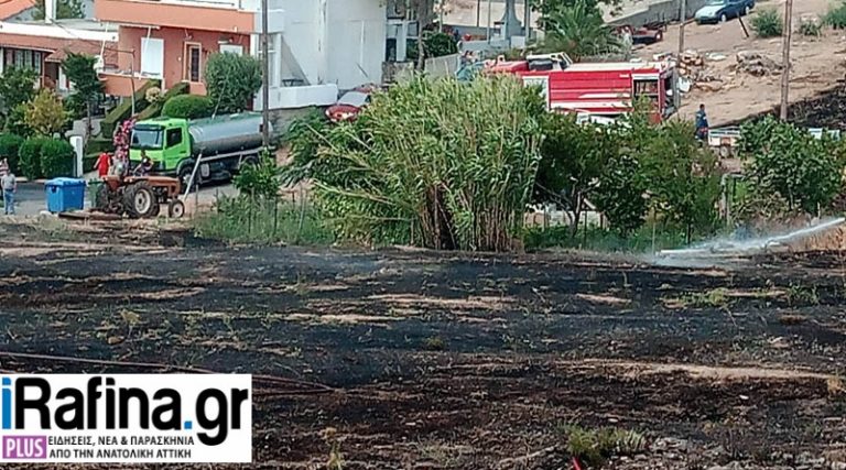 Ραφήνα: Οργή Μπουρνούς για τη φωτιά στη Νταού Πεντέλης