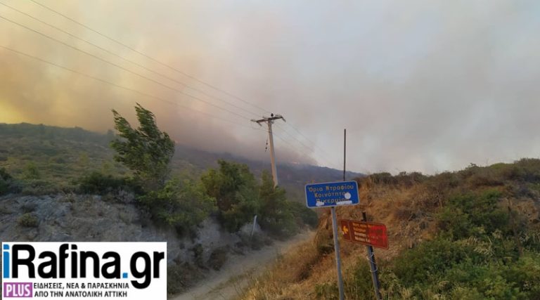 Ευθύμης Λέκκας: Είμαστε σε σκέψεις για το πώς ξεκίνησε η πυρκαγιά στο Ντράφι