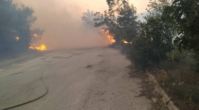Εικόνες καταστροφής στο Ντράφι! Καίγονται τα πάντα (βίντεο)