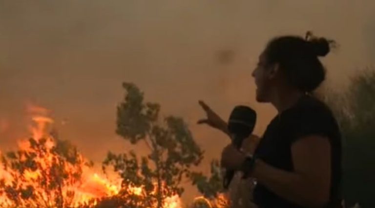 Φωτιά στο Ντράφι: Δημοσιογράφος του Open ξεφεύγει τελευταία στιγμή από τις φλόγες – «Μας κυνηγά η φωτιά κι οι κάφτρες» (βίντεο)