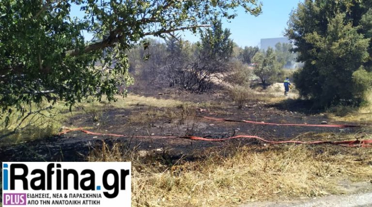 Ξερά χόρτα και χαμηλή βλάστηση έκαψε η φωτιά στο Πικέρμι – Από που ξεκίνησε (φωτό)
