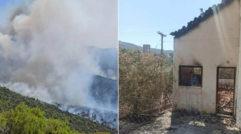 Φωτιά στο Πόρτο Γερμενό: Κάηκαν σπίτια – Μάχη με τις φλόγες και τους ισχυρούς ανέμους – Εκκενώθηκε ο Μύτικας