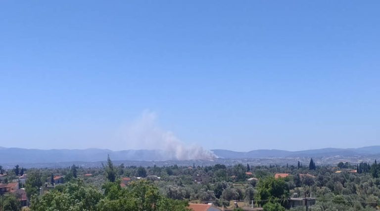 Φωτιά τώρα στο Σχηματάρι – Εντολή εκκένωσης σε οικισμό στο Δήλεσι (φωτό)