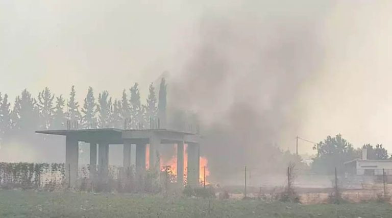 Εικόνες και βίντεο από τη φωτιά στο Σχηματάρι: Εντολή εκκένωσης σε οικισμό στο Δήλεσι