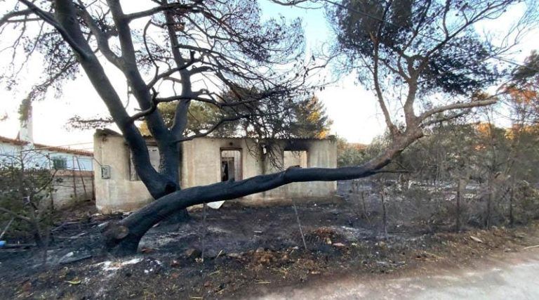 Ολοκληρώθηκε η καταβολή πρώτης αρωγής στους πυρόπληκτους σε Πικέρμι, Παλλήνη & Πεντέλη