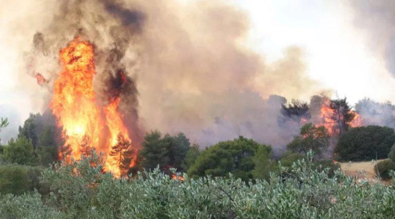 Φωτιά στα Μέγαρα: Μήνυμα 112 για εκκένωση του οικισμού Παπαγιαννέϊκα