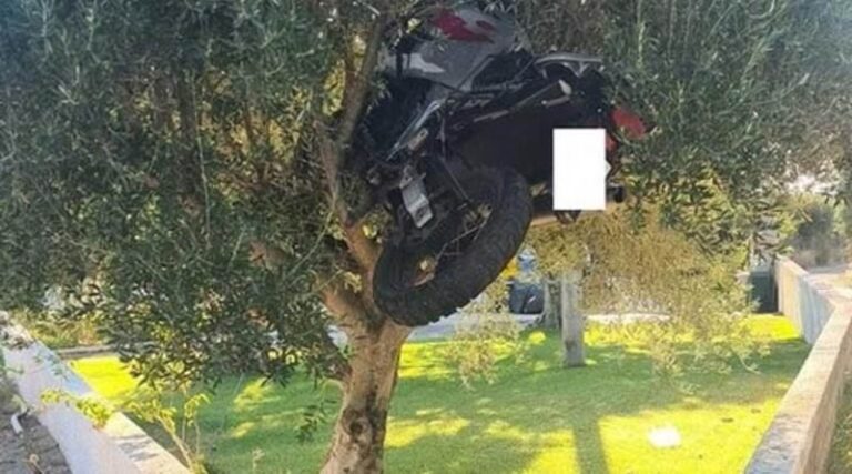 Απίθανο τροχαίο! Μηχανή “σκαρφάλωσε” σε δέντρο! (φωτό)
