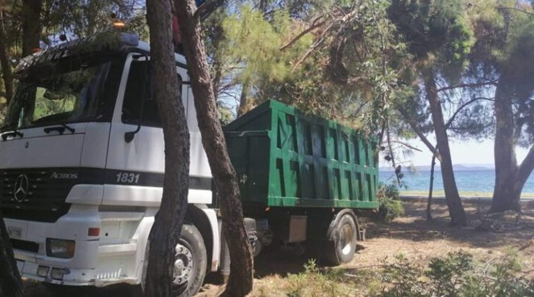 Νέα Μάκρη: Ο ΣΠΑΠ ολοκλήρωσε τις προληπτικές αντιπυρικές εργασίες στο δασάκι του Πεζοδρόμου