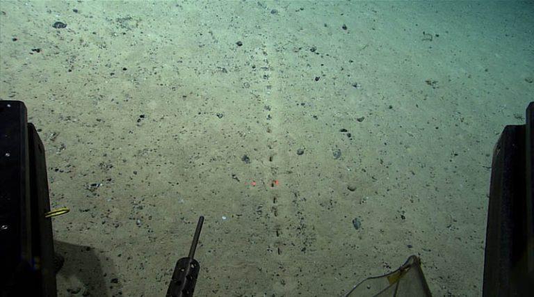 Θρίλερ με μυστηριώδεις τρύπες που βρέθηκαν στον πάτο του ωκεανού – Τι προβληματίζει τους επιστήμονες (φωτό)