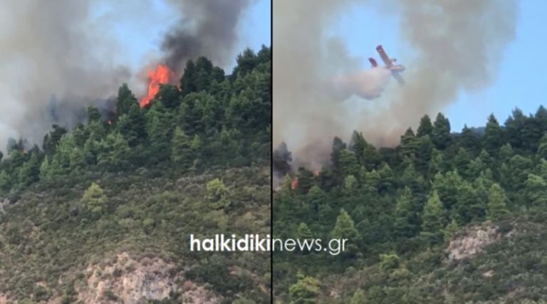 Μεγάλη φωτιά στο Άγιο Όρος – Ενισχύονται οι πυροσβεστικές δυνάμεις (βίντεο & φωτο)