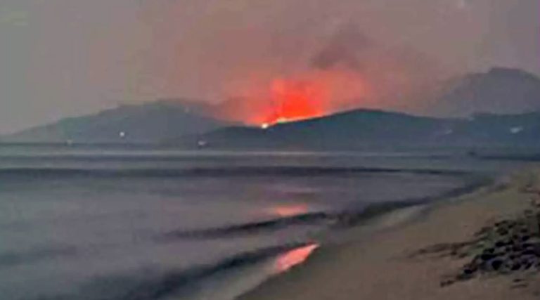 Εθνικό Αστεροσκοπείο Αθηνών: Η φωτιά στη Θάσο έκαψε 2.770 στρέμματα – Το 84% ήταν δάσος
