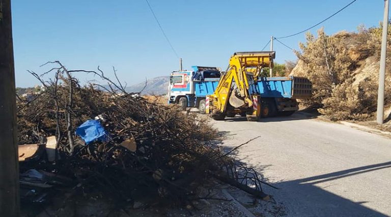 Πικέρμι: Συνεχίζεται η απομάκρυνση των καμένων δέντρων και κλαδιών σε Ντράφι & Διώνη (φωτό)