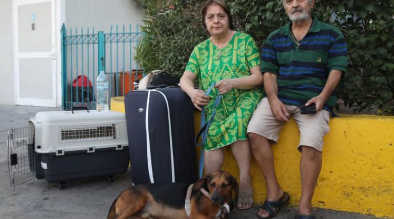 Απίστευτη ταλαιπωρία για ζευγάρι: Δεν τους δεχόταν κανένα ξενοδοχείο γιατί είχαν σκύλο