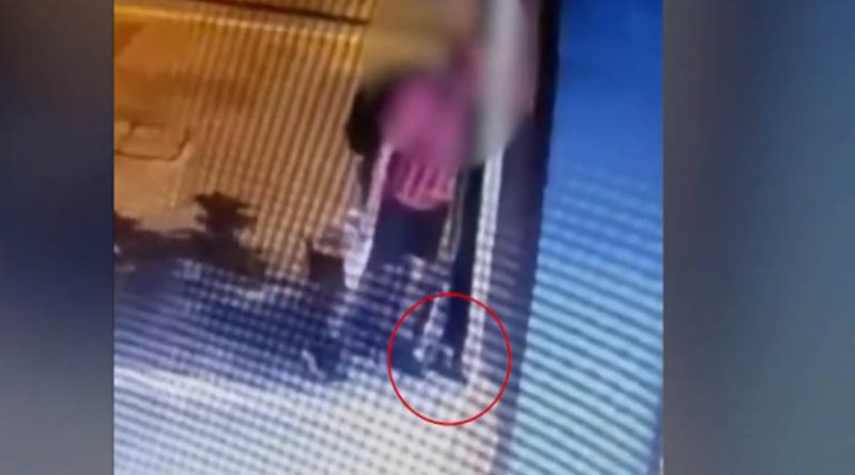 Νέο βίντεο ντοκουμέντο με τον άντρα που σκότωσε με το πόδι του γατάκι – Το βασάνιζε για ώρα!