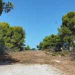 Δήμος Ραφήνας Πικερμίου:  Εφαρμογή του Κανονισμού Πυροπροστασίας Ακινήτων εντός και πλησίον δασικών εκτάσεων