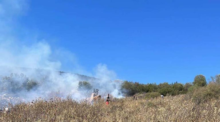 Μαραθώνας: Οριοθετήθηκε η φωτιά στον Βρανά – Στη μάχη και εναέρια μέσα (φωτό)