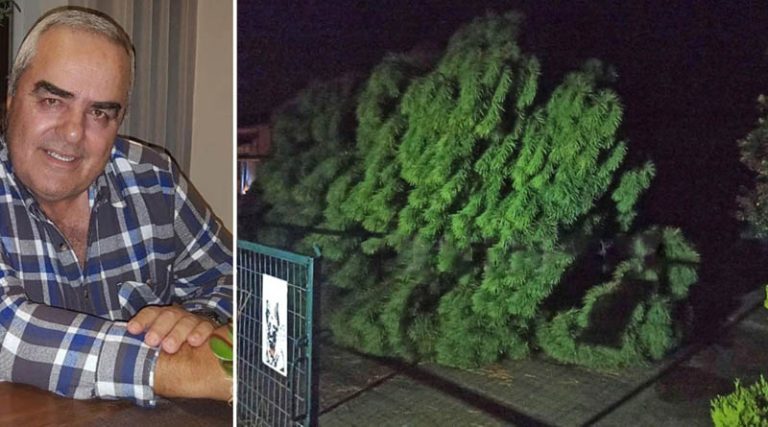 Αυτός είναι ο 69χρονος που καταπλακώθηκε από δέντρο όταν βγήκε στην αυλή για να πάρει το κινητό!