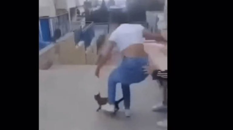 Ταυτοποιήθηκε η ανήλικη μαθήτρια που φαίνεται σε βίντεο να κλωτσάει μία γάτα
