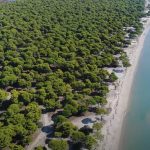 Μαραθώνας: Ανακοίνωση της Ένωσης Βορειοανατολικής Αττικής σχετικά με την “πυρασφάλεια” στο πάρκο Σχινιά