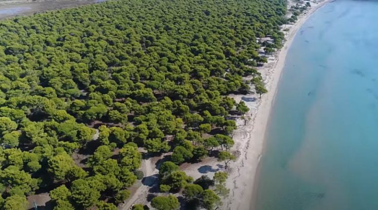 Σχινιάς Μαραθώνα: Χρυσή αμμουδιά χιλιομέτρων – Ο παράδεισος είναι πιο κοντά απ’ ότι περιμένατε! (βίντεο)