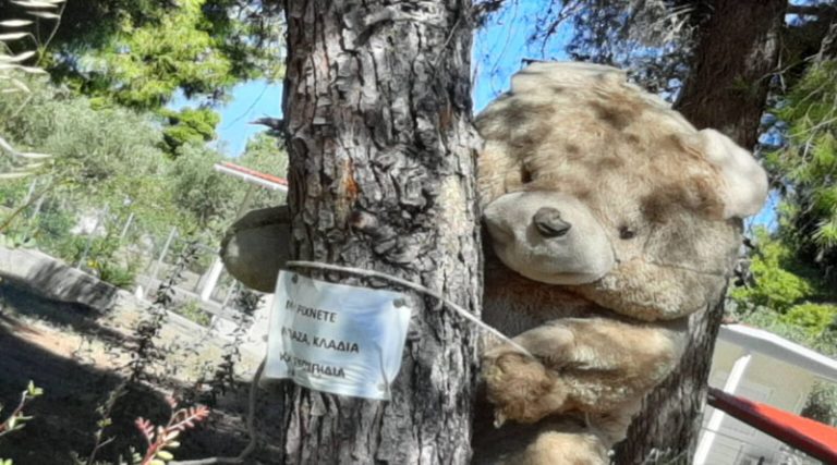 Νέα Μάκρη: Η αρκούδα στο Ζούμπερι που προειδοποιεί τους περαστικούς (φωτό)