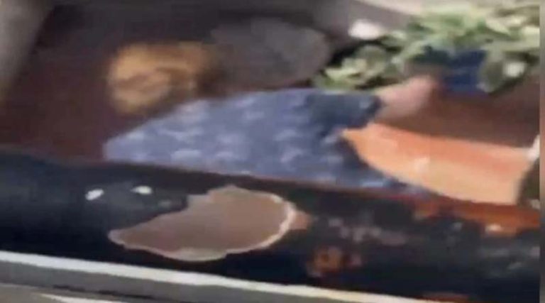 Σοκαριστικό βίντεο με ηλικιωμένη που κακοποιεί ετοιμοθάνατη γάτα – Νωρίτερα της είχε ρίξει φόλα!
