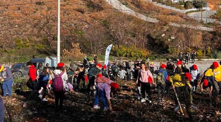 Δήμος Ραφήνας Πικερμίου: Νέα περιβαλλοντική εξόρμηση στο Ντράφι – Δεντροφύτευση την Κυριακή 4 Δεκεμβρίου
