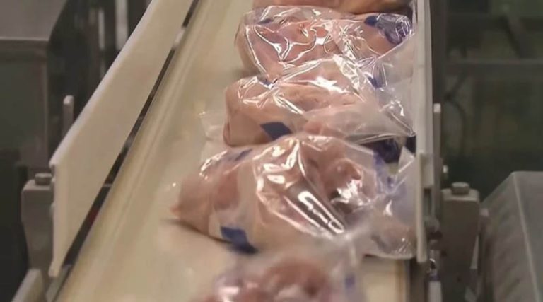 Εγκρίθηκε για πρώτη φορά η πώληση κοτόπουλου φτιαγμένου στο εργαστήριο! (βίντεο)