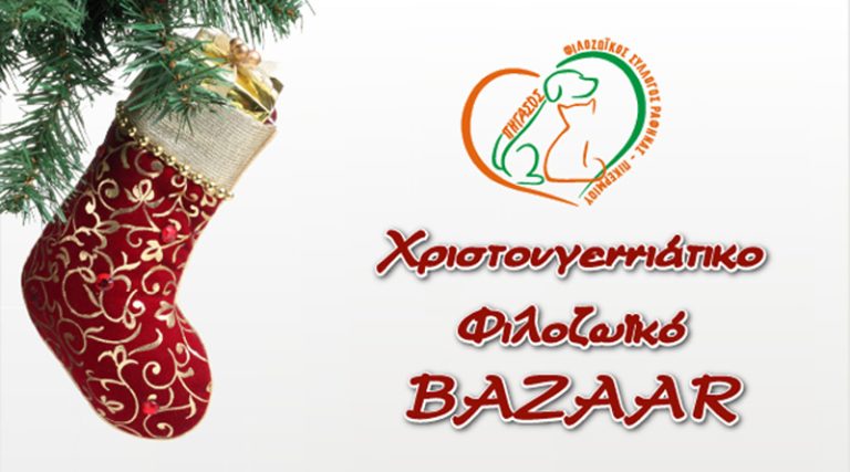 Χριστουγεννιάτικο Bazaar για τα αδεσποτάκια στη Ραφήνα