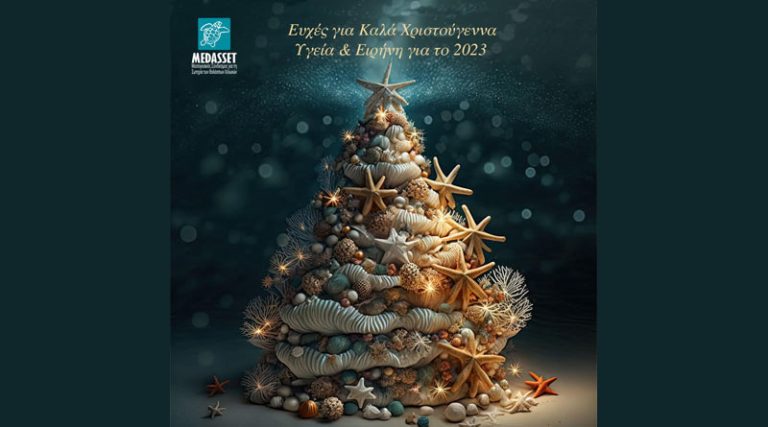 Χριστουγεννιάτικες ευχές από τον Μεσογειακό Σύνδεσμο για τη Σωτηρία των Θαλάσσιων Χελωνών